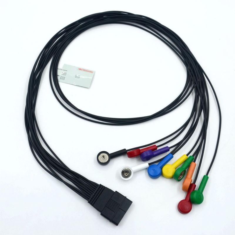 Kompatybilny Schiller 10 Ołów EKG Pacjent Kabel Schiller dla Schiller MS-12 Niebieski Kabel EKG