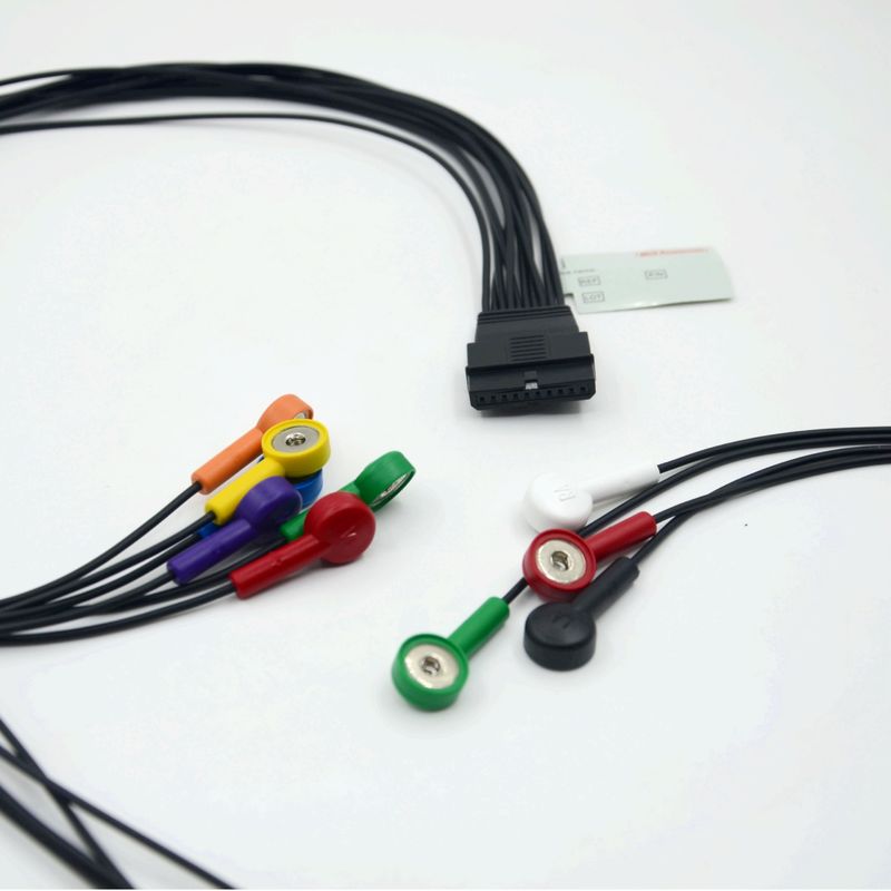 Kompatybilny Schiller 10 Ołów EKG Pacjent Kabel Schiller dla Schiller MS-12 Niebieski Kabel EKG